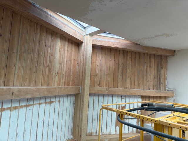 Paint Removal Services